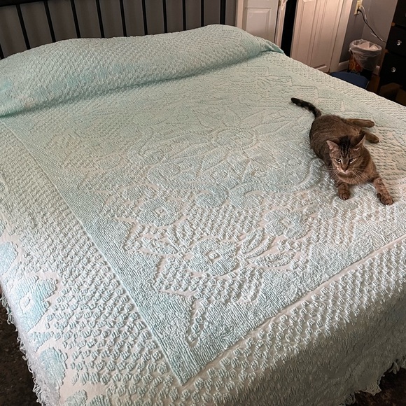 Vintage cotton Pastel mint aqua chenille bedspread full/double - Picture 3 of 6